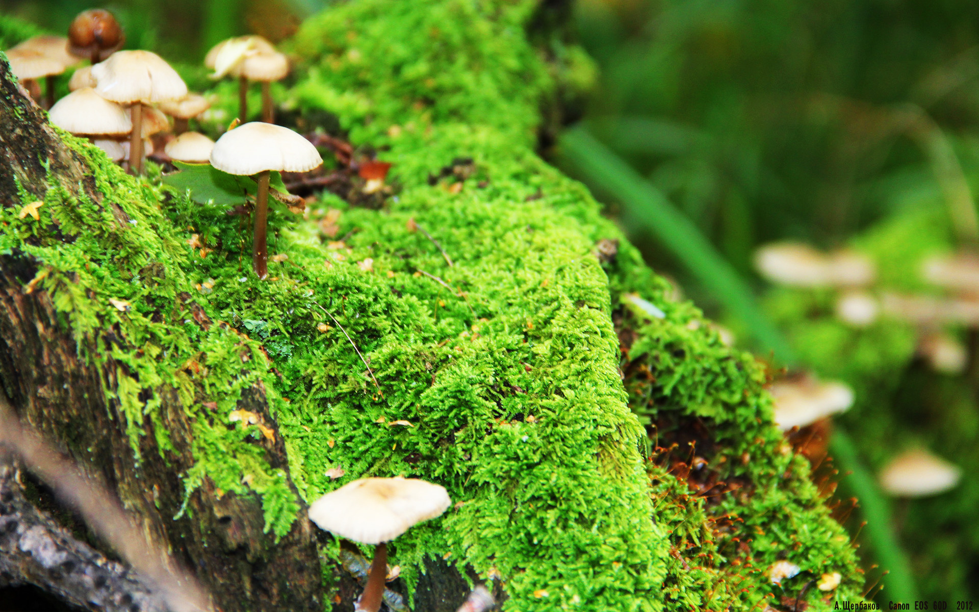 《《堡垒之夜》加入联邦主题季节，新增太空元素》，“堡垒之夜”