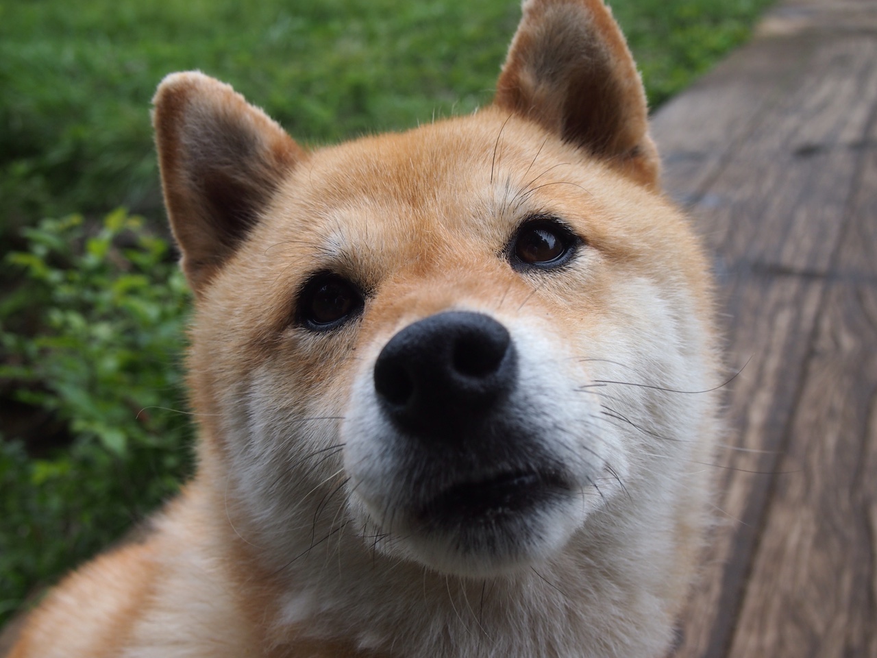 九游电竞官网-《电竞裁判制度改进：公正竞赛的保障》，电竞裁判的意义何在